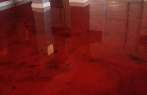 PARDOSELI EPOXIDICE SI AMORSE EPOXIDICE