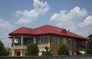 VOPSELE SPECIALE PENTRU ACOPERISURI