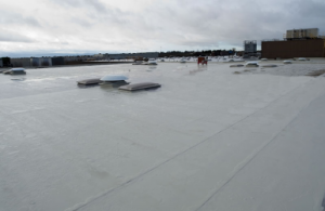 Vopsea hidroizolantă flexibilă specială